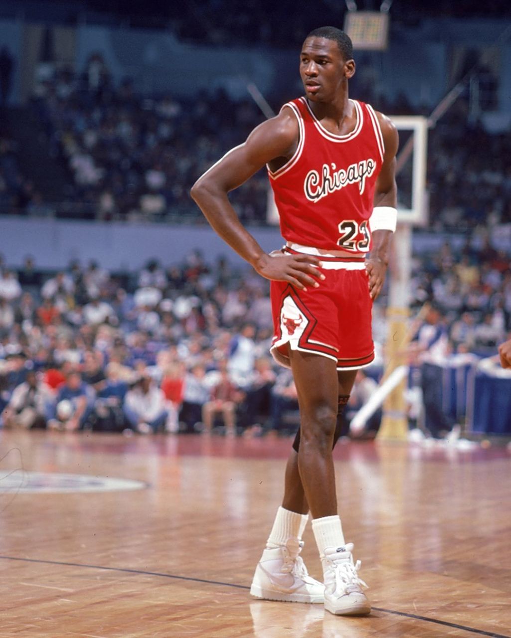 队的发展动 队的发展动