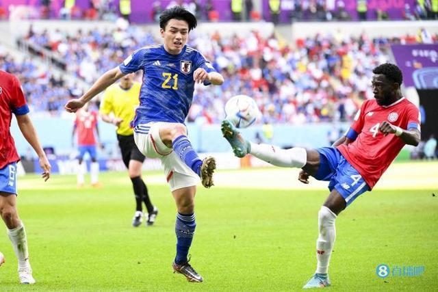 邢菲宇的成 邢菲宇的成