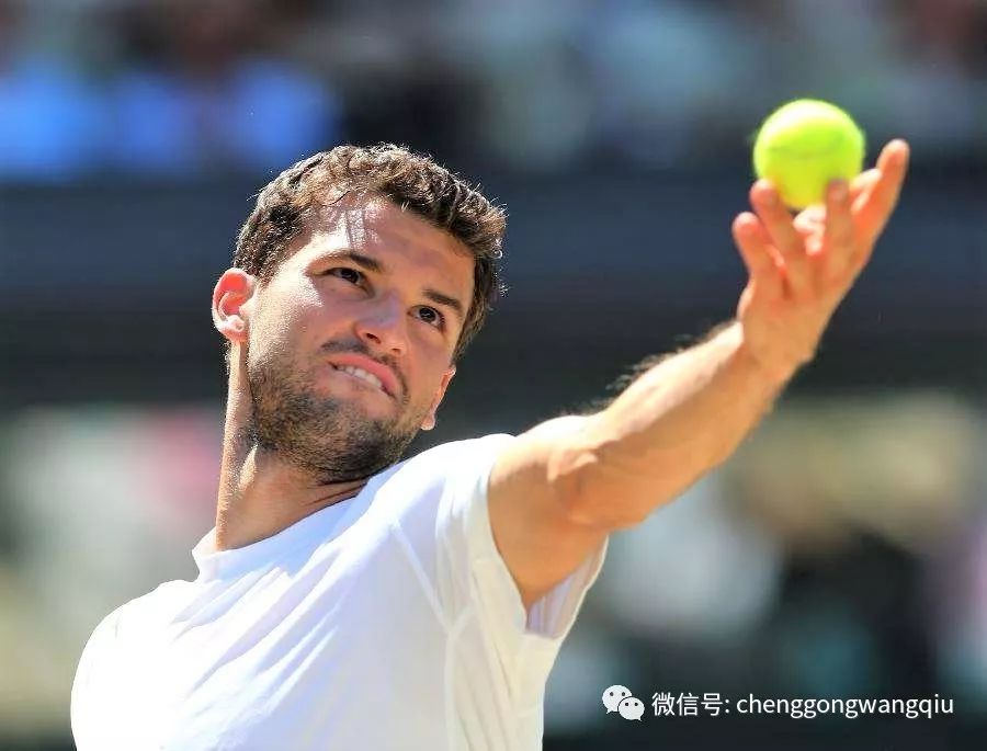 具备多面能 具备多面能