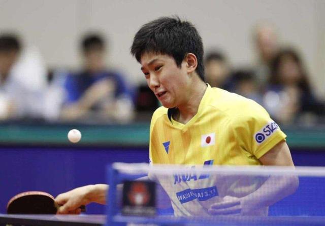 赔率作为市 赔率作为市